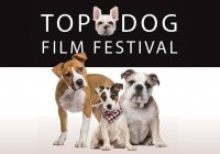 Photo From Top Dog Film Festival Facebook Page