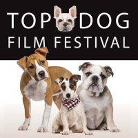 Photo From Top Dog Film Festival Facebook Page